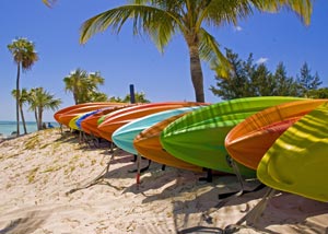 Row of surfing boards